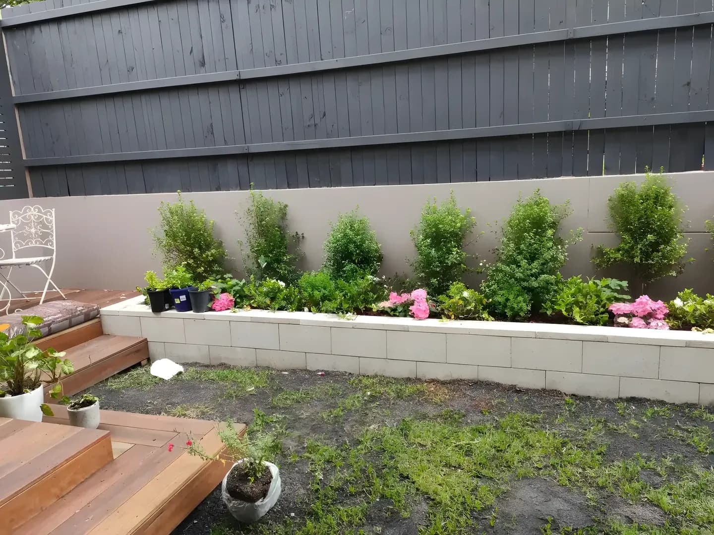 Lawn & Turf Services